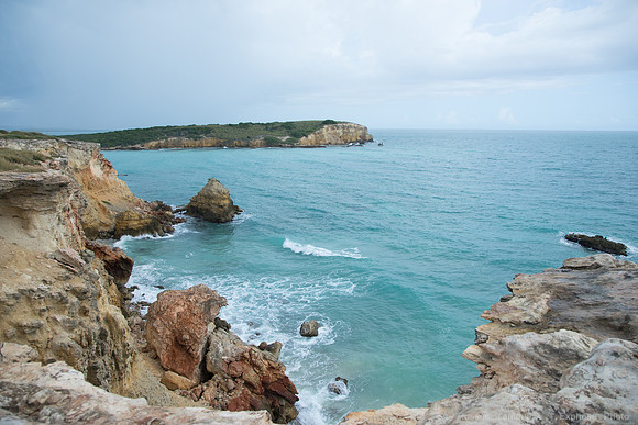 DSC05854