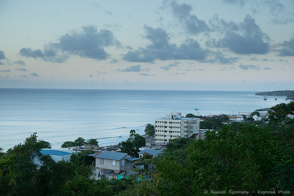 DSC06066