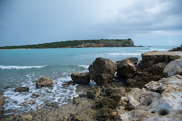 DSC05941