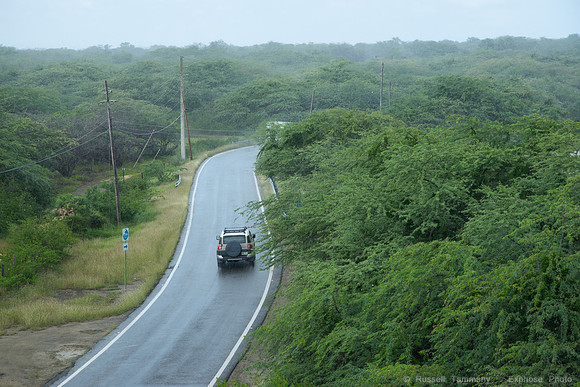 DSC05790