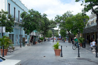 DSC05736