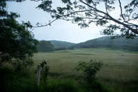 DSC05764