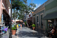 DSC05704