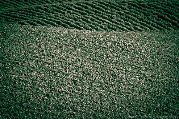 1D3_0916