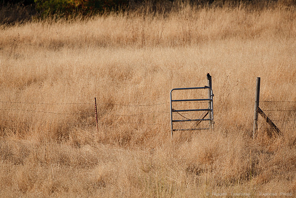 1D3_0905