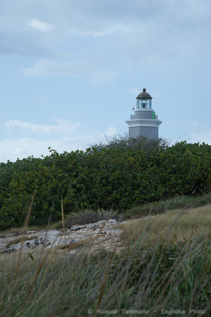 DSC05933