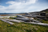 Drangsnes