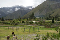 DSC09196