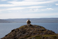 Drangsnes