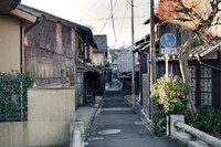 DSC08764