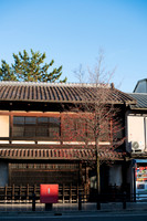 DSC08755