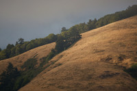 1D3_0506