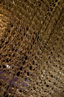 DSC01283