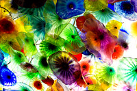 DSC01257