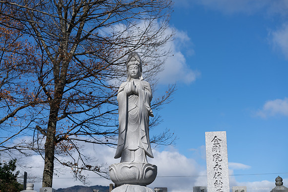 DSC08815