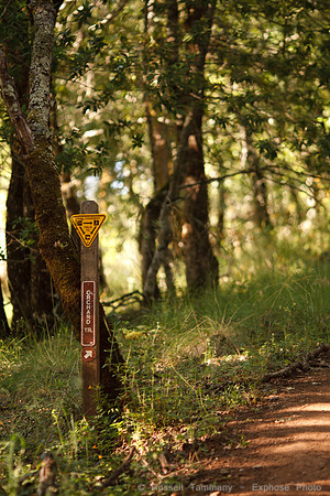 Annadel / Spring Lake Trails