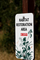 Annadel / Spring Lake Trails