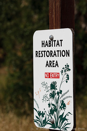 Annadel / Spring Lake Trails