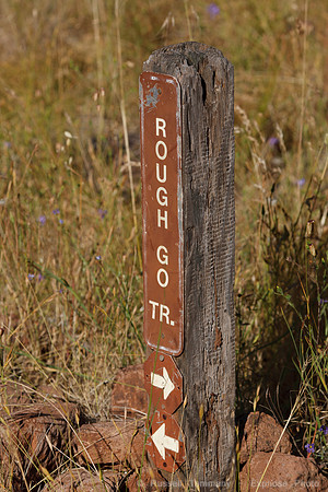 Annadel / Spring Lake Trails
