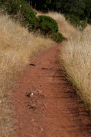 Annadel / Spring Lake Trails