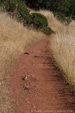 Annadel / Spring Lake Trails