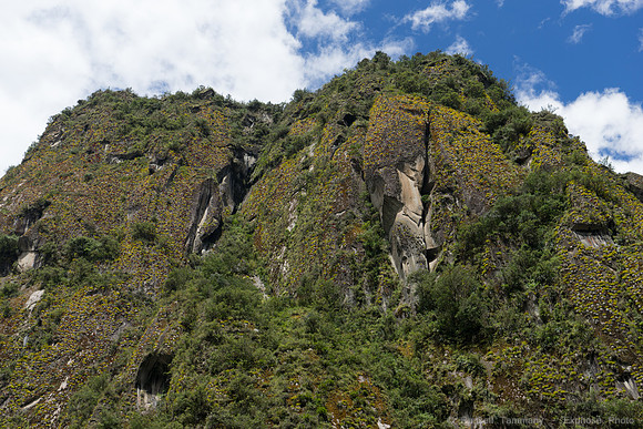 DSC09145