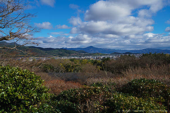 DSC08841