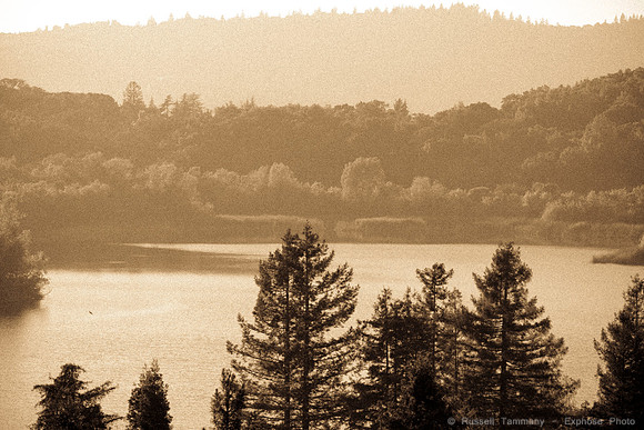 Annadel / Spring Lake Trails