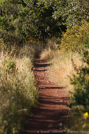 Annadel / Spring Lake Trails