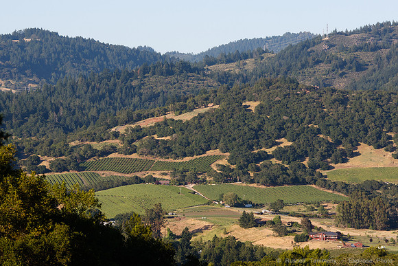 Annadel / Spring Lake Trails