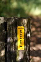Annadel / Spring Lake Trails