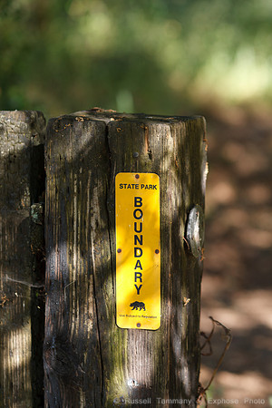 Annadel / Spring Lake Trails