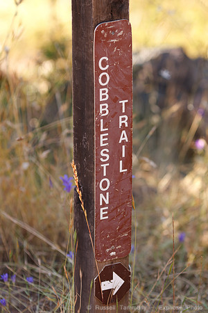 Annadel / Spring Lake Trails