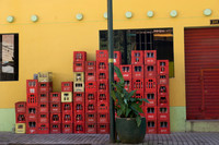 DSC09086