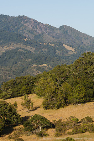 Annadel / Spring Lake Trails
