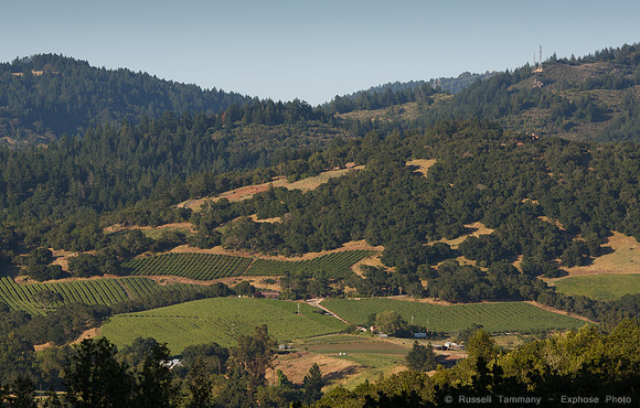Annadel / Spring Lake Trails