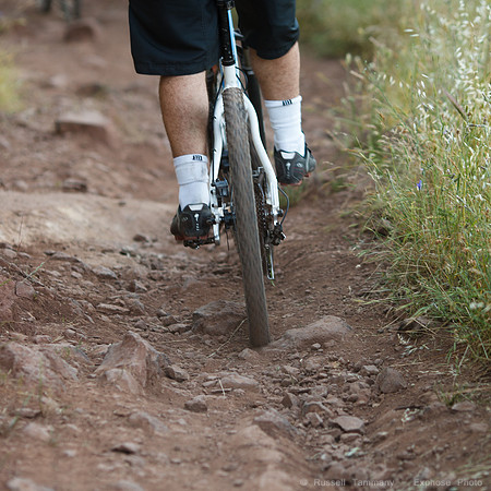 Annadel / Spring Lake Trails