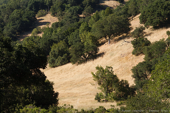 Annadel / Spring Lake Trails