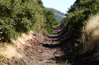 Annadel / Spring Lake Trails