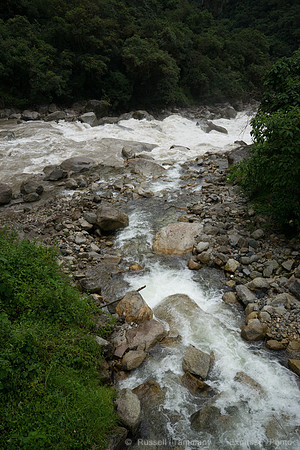 DSC08505