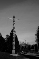 DSC03387