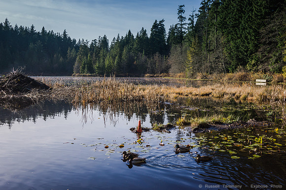 DSC03501
