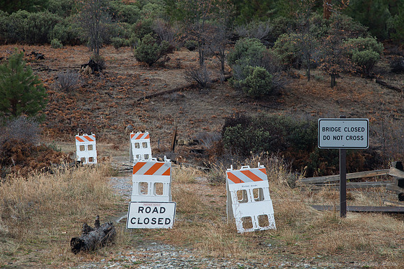 Old Coulterville Rd / Foresta - Yosemite NP
