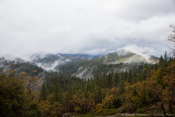 Yosemite NP
