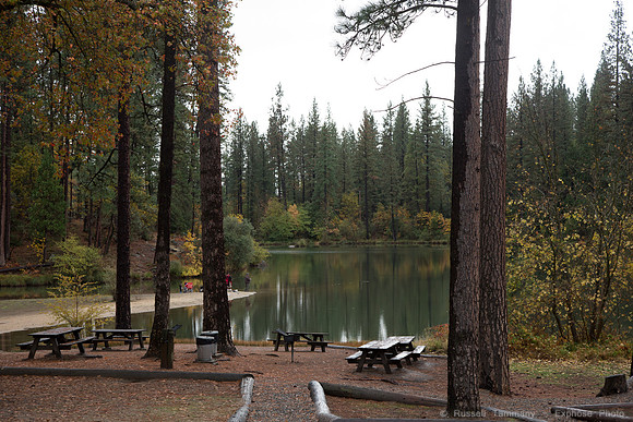 Bass Lake Area