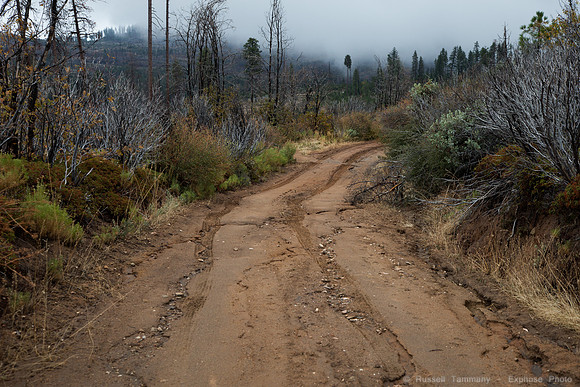 Old Coulterville Rd / Foresta - Yosemite NP