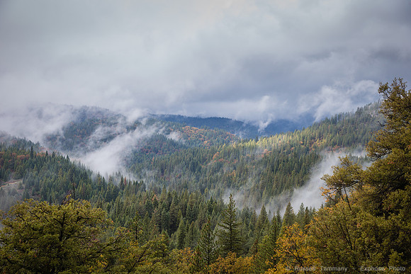 Yosemite NP