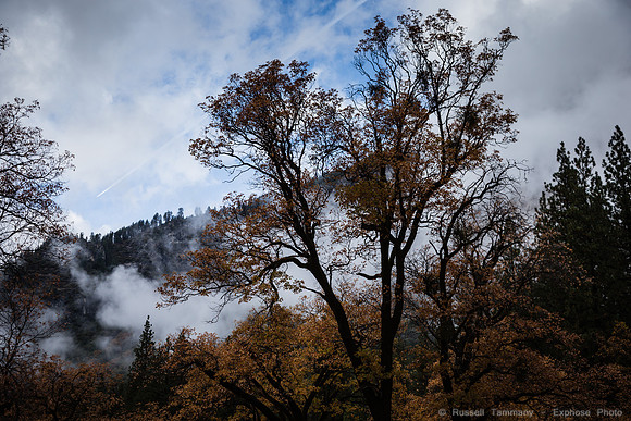 Yosemite Valley - Yosemite NP