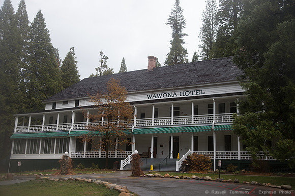 Yosemite NP