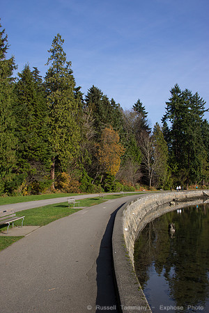 DSC03379